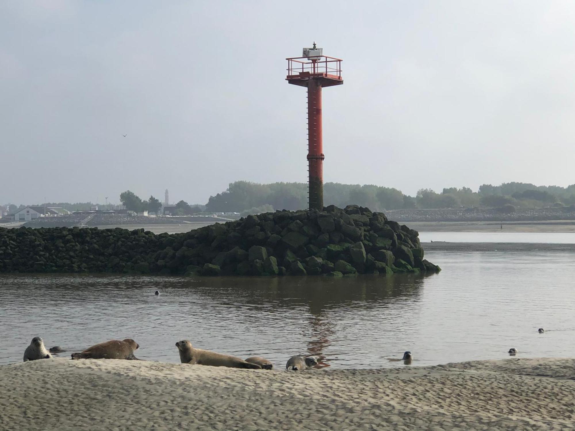 L'Escapade - Hardelot Plage - Parking Prive Neufchâtel-Hardelot Εξωτερικό φωτογραφία